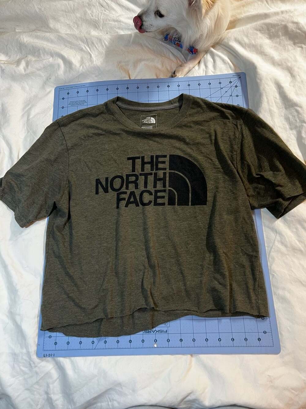 Cropped The North Face Shirt